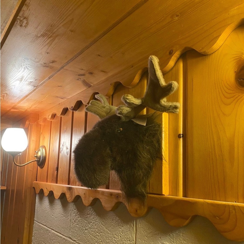 Hunter’s collection moose head mount